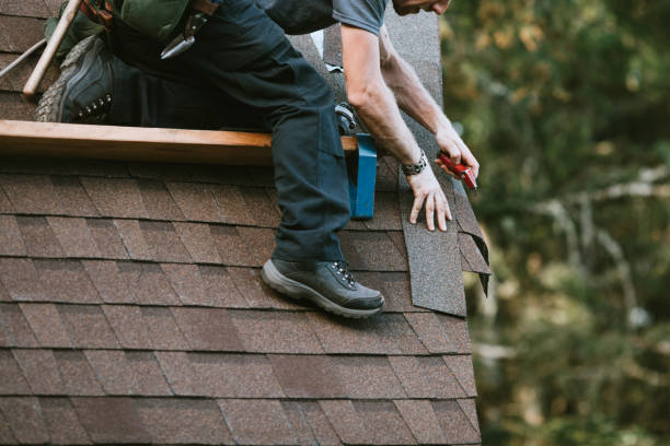 Best Shingle Roofing Installation  in Ligonier, IN